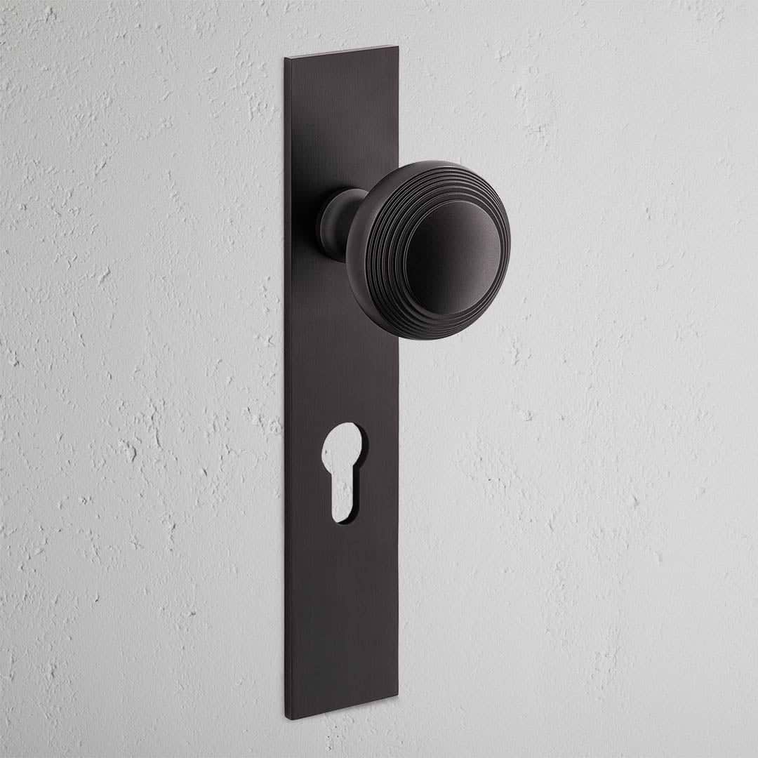Poplar Long Plate Sprung Door Knob & Euro Lock - Bronze