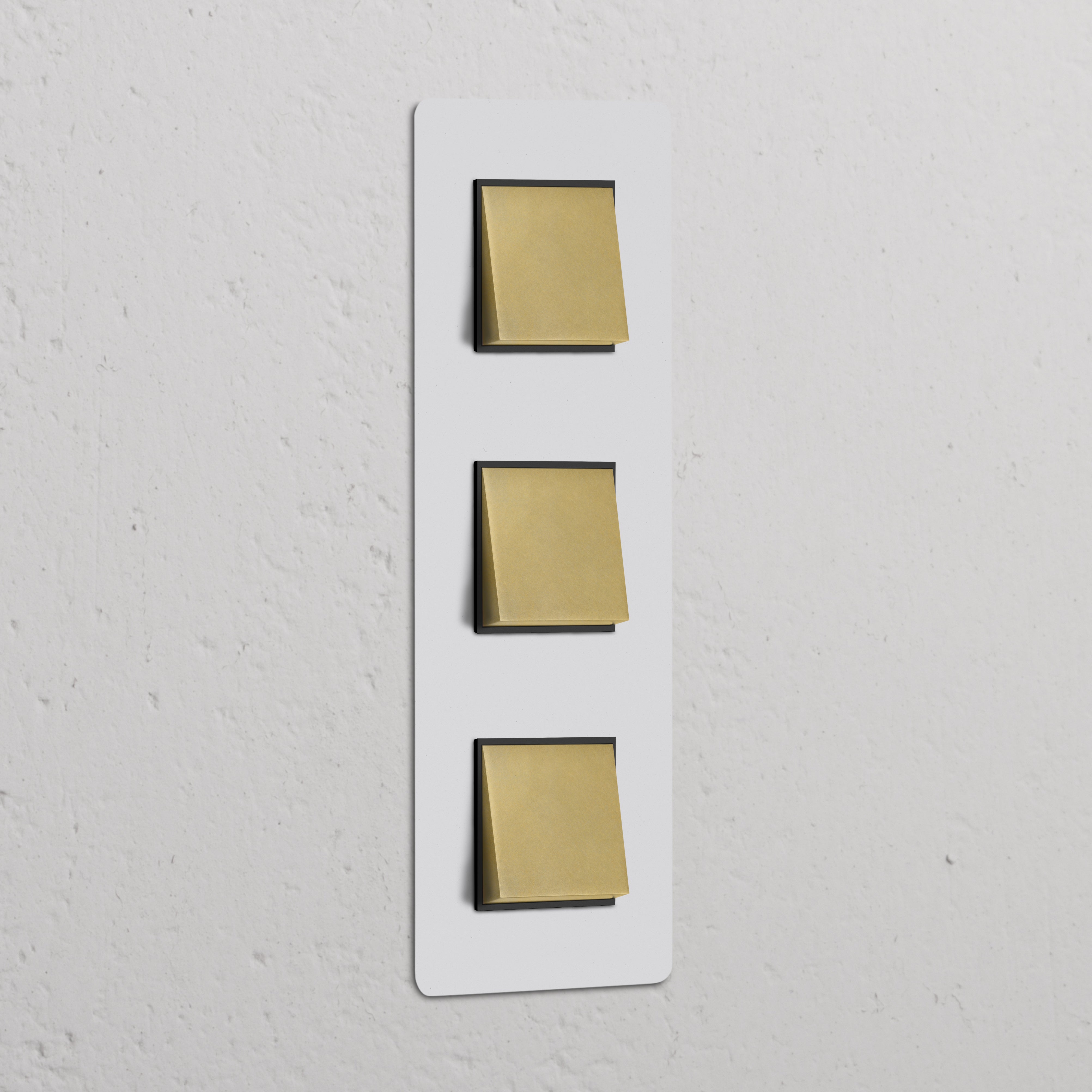 Triple 3x vertical rocker switch, paintable antique brass black on rectangular panel. Suitable for switches & dimmers.