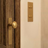 Poplar Long Plate Sprung Door Knob – Antique Brass 
