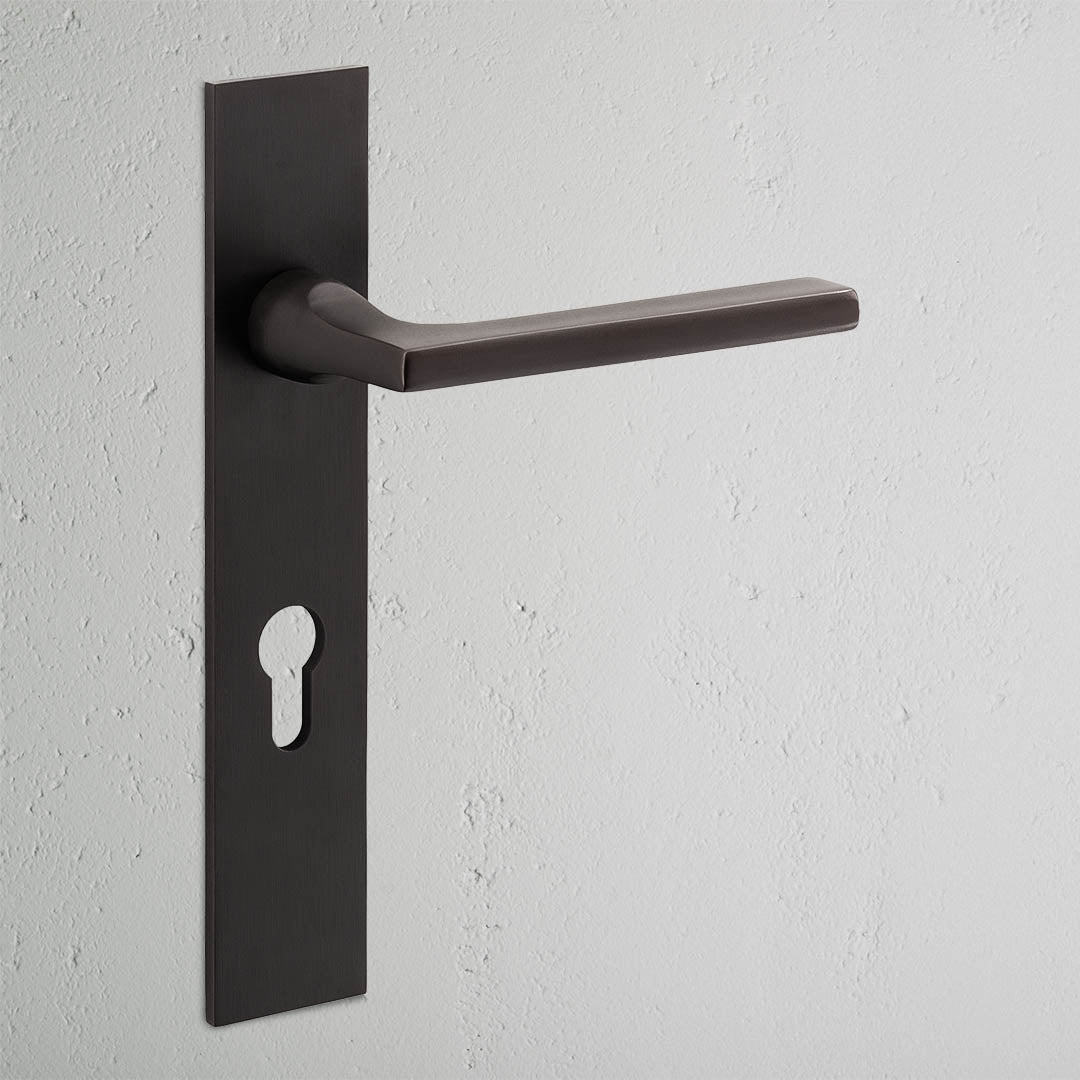 Clayton Long Plate Sprung Door Handle & Euro Lock Bronze Finish on White Background