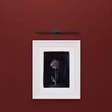 Taylor Picture Light 400mm - Bronze 