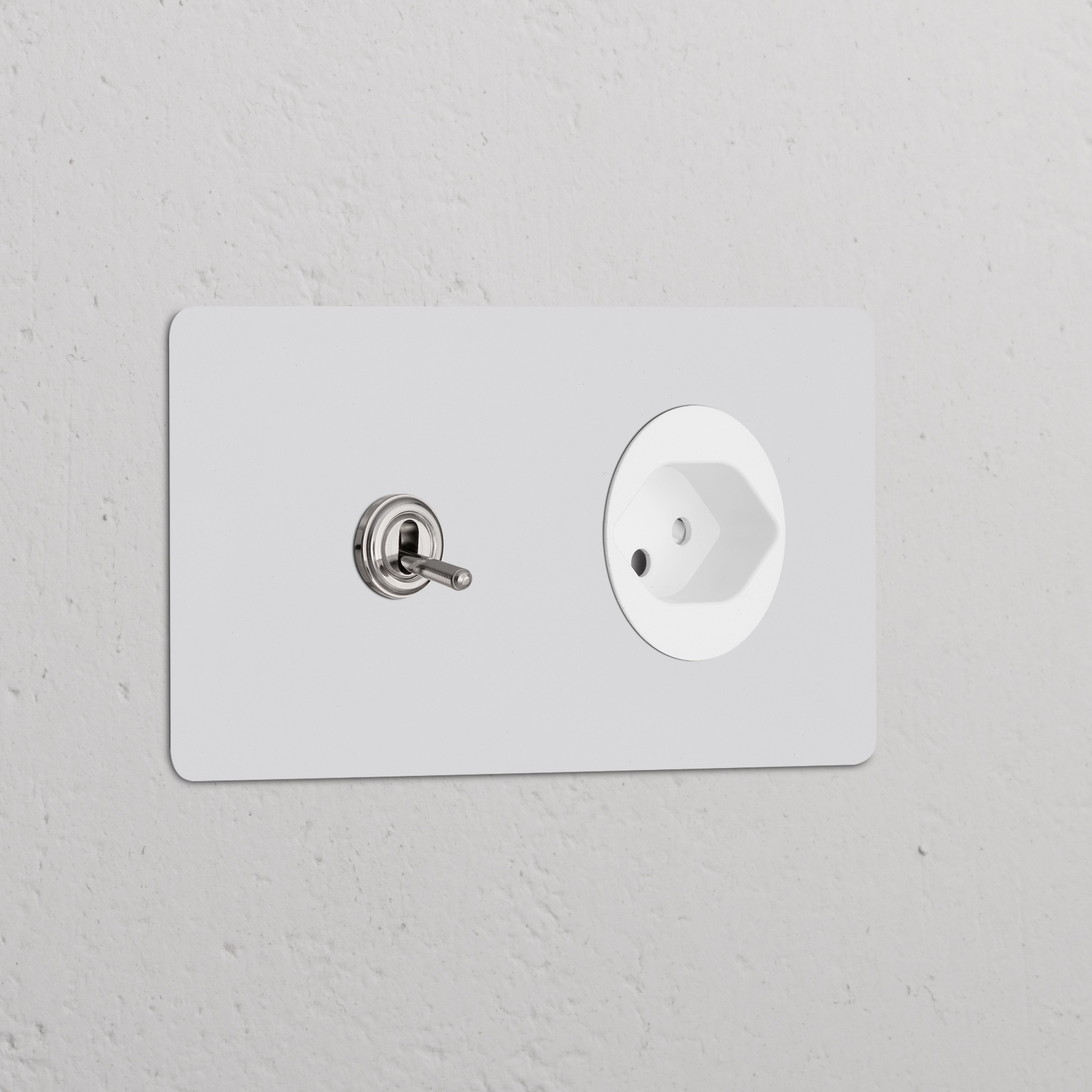 Double toggle switch & Swiss Type J power module in polished nickel white, wall-mounted on a white surface.