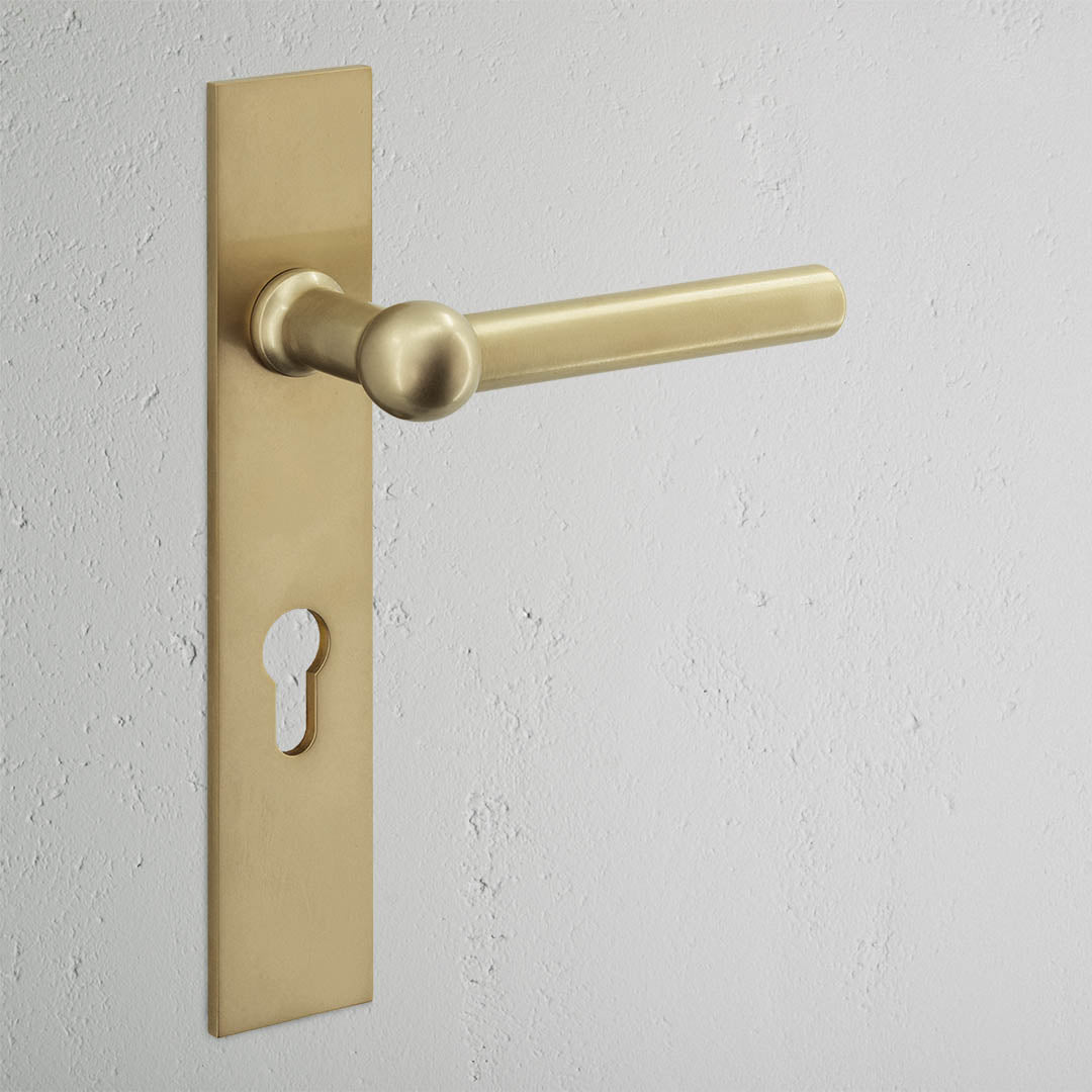 Harper Long Plate Sprung Door Handle & Euro Lock - Antique Brass