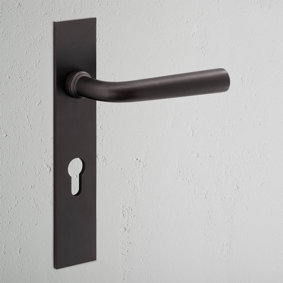 Apsley Long Plate Sprung Door Handle & Euro Lock - Bronze
