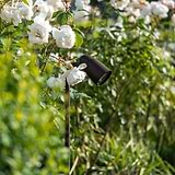 Ealing Path Spotlight - Bronze
