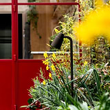 Bronze Ealing Path Spotlight emerging from a flower bed with red door behind. 