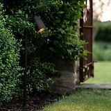 Ealing Path Spotlight - Bronze