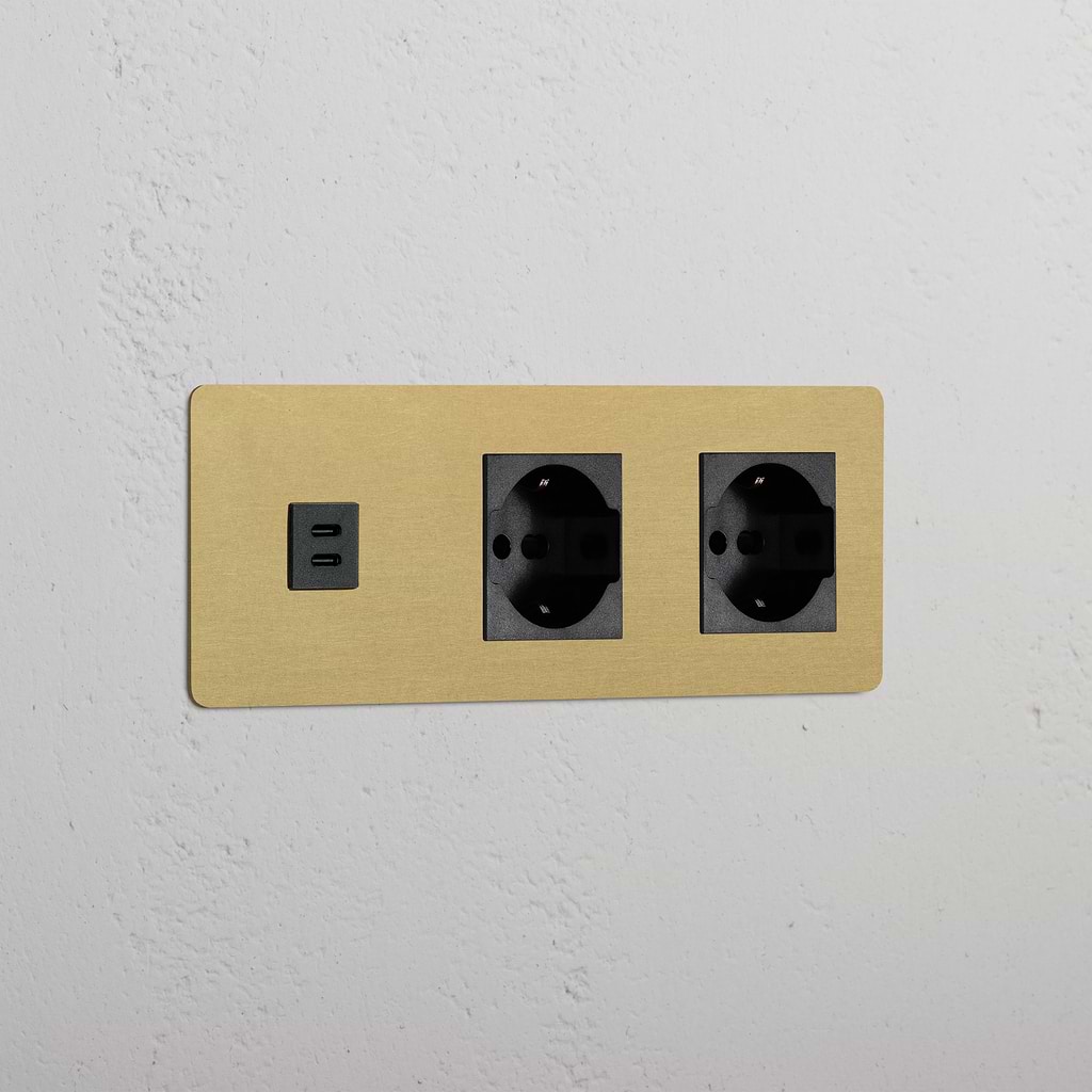 Triple USB 30W & 2x Schuko/Bipasso Module - Antique Brass Black