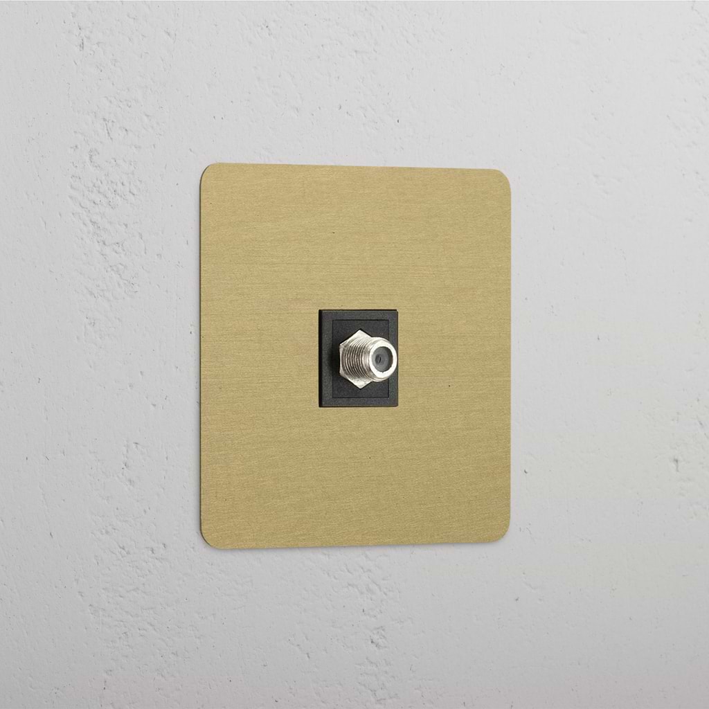 Single Satellite Module in Antique Brass Black