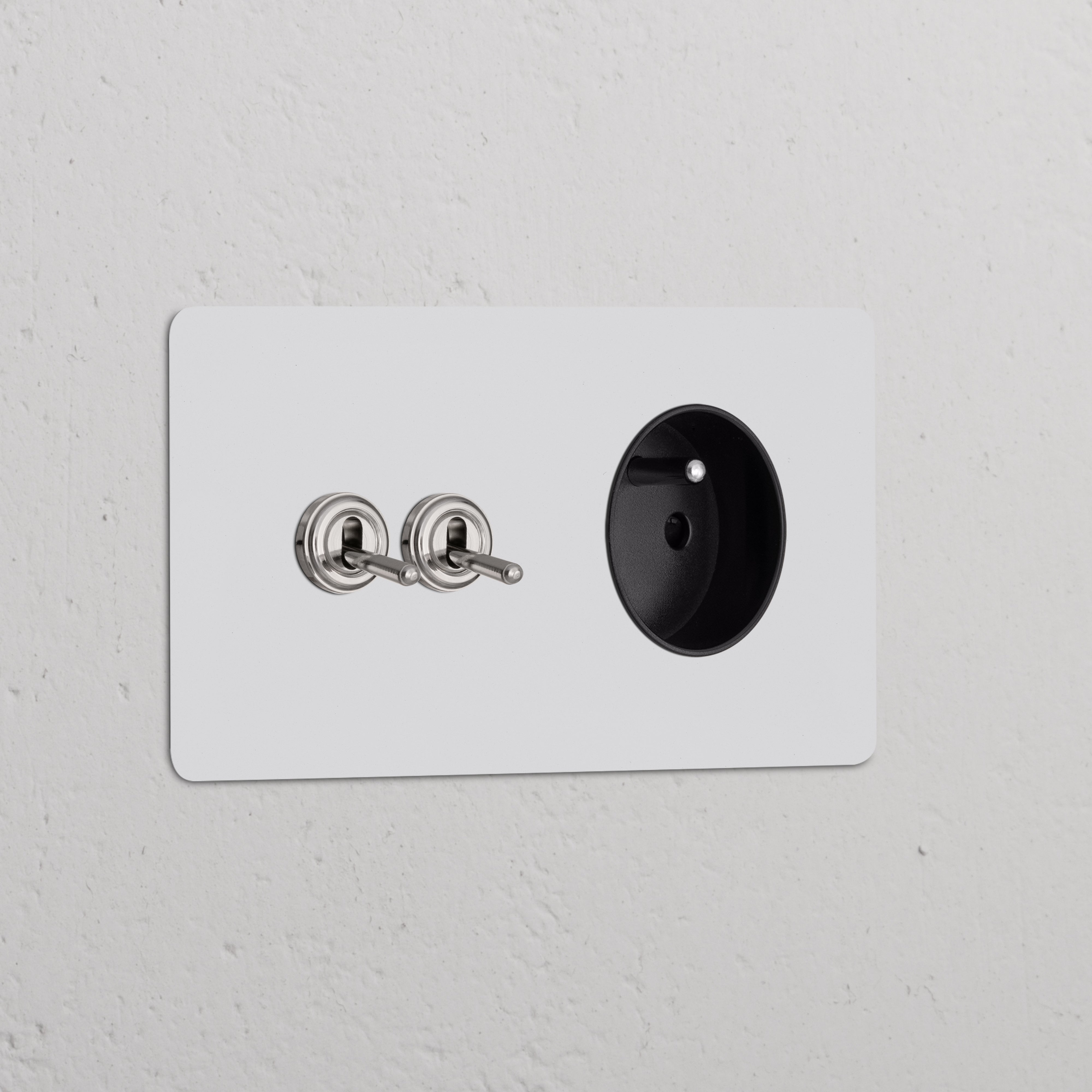 Double toggle switch and Type E power module on a paintable polished nickel plate, black round outlet.