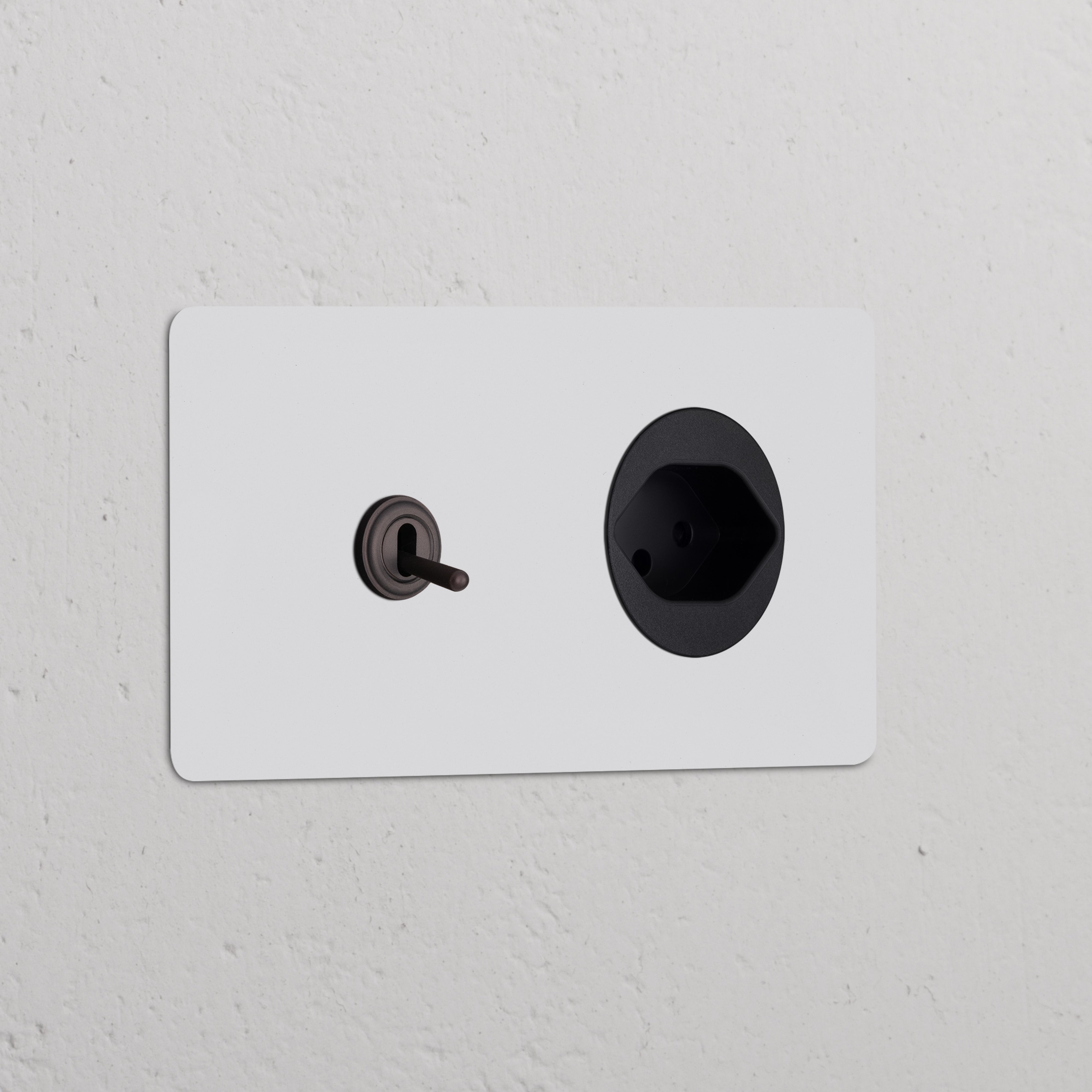 Double toggle switch and Swiss Type J power module in paintable bronze-black on a wall plate.