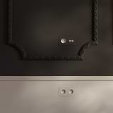 Double 2x toggle switch and French/Belgian Type E module in polished nickel on wall, stylish and functional.