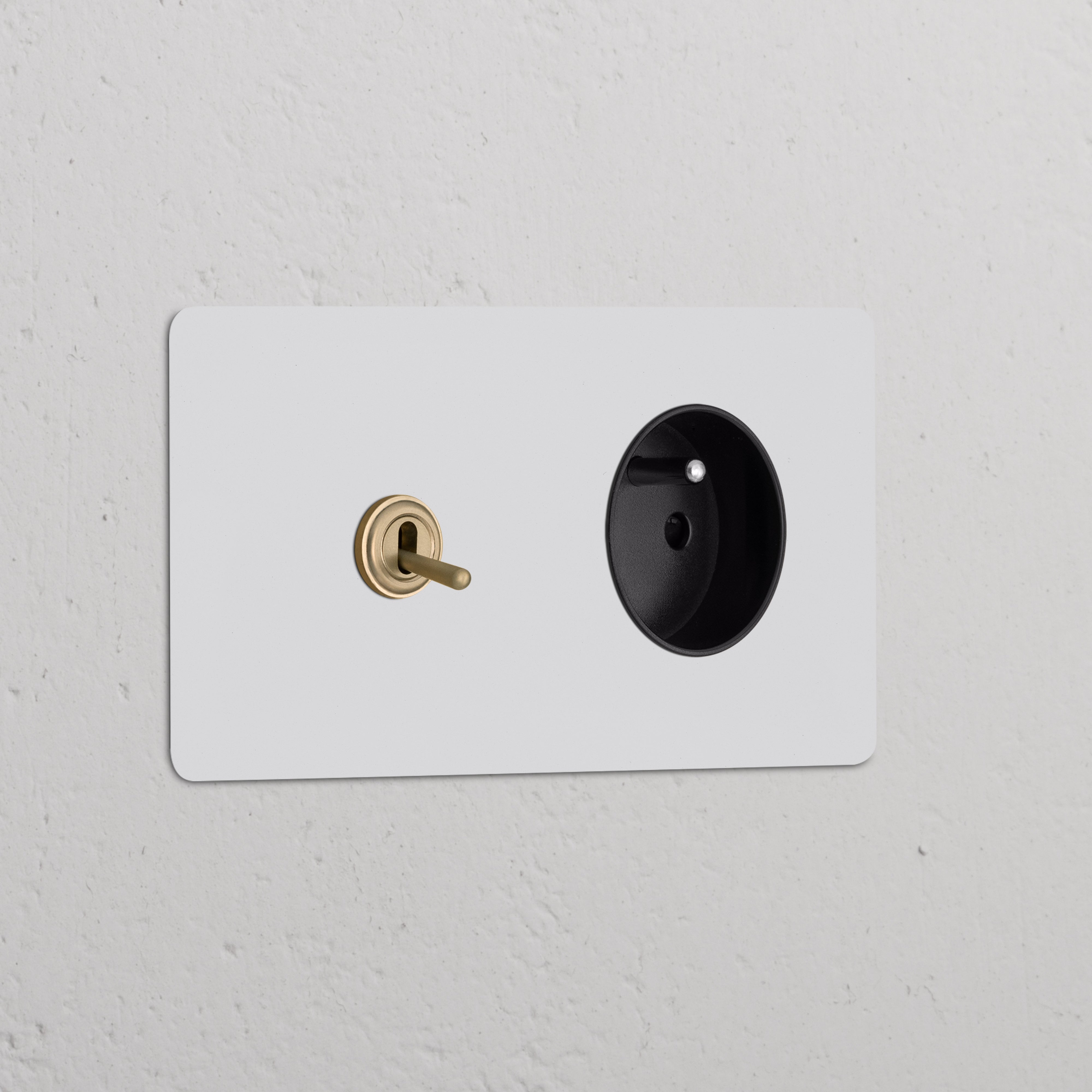 Double Toggle Switch + French/Belgian Type E Power Module in paintable antique brass black on a textured wall.