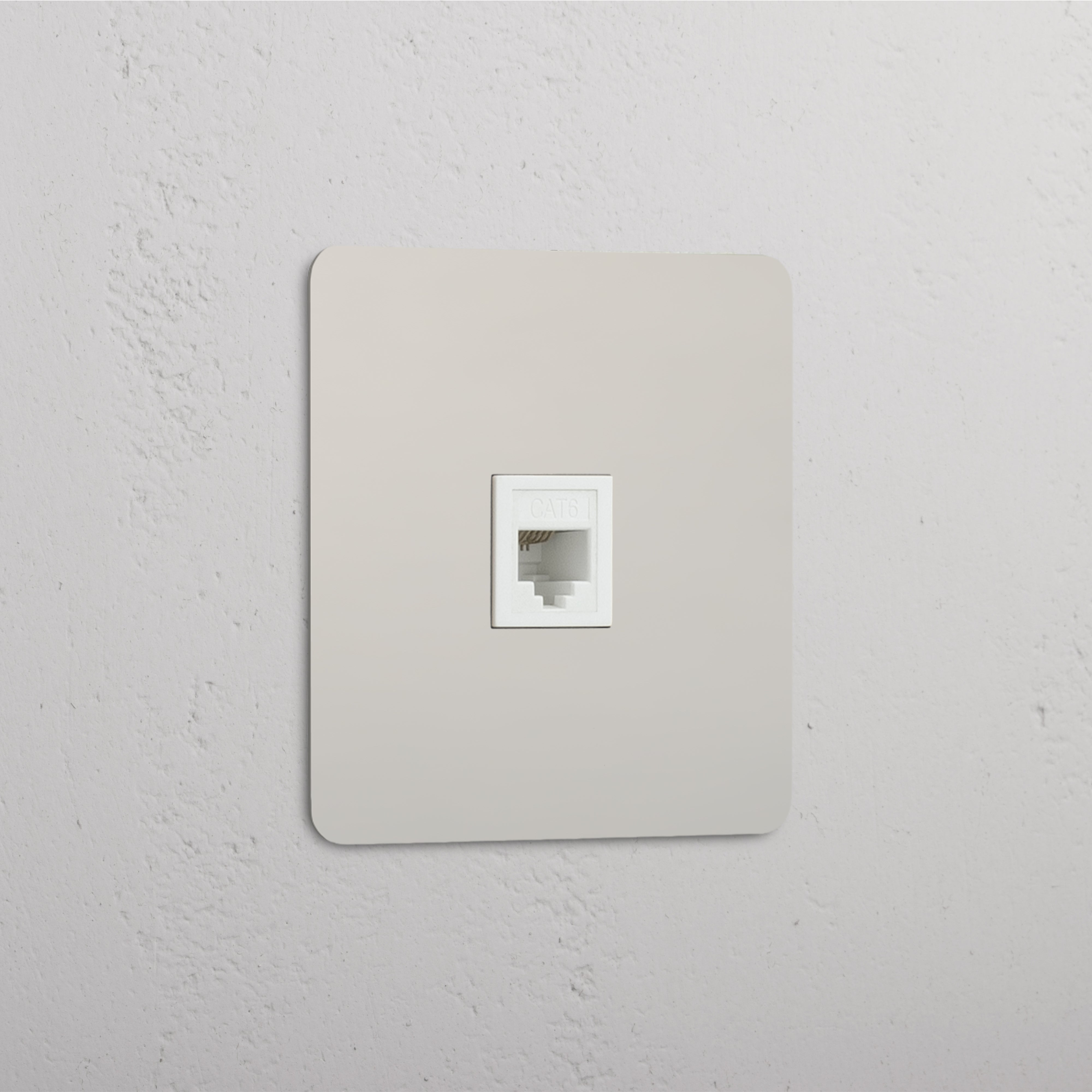 Network Connectivity Accessory: Single RJ45 Module in Polished Nickel White