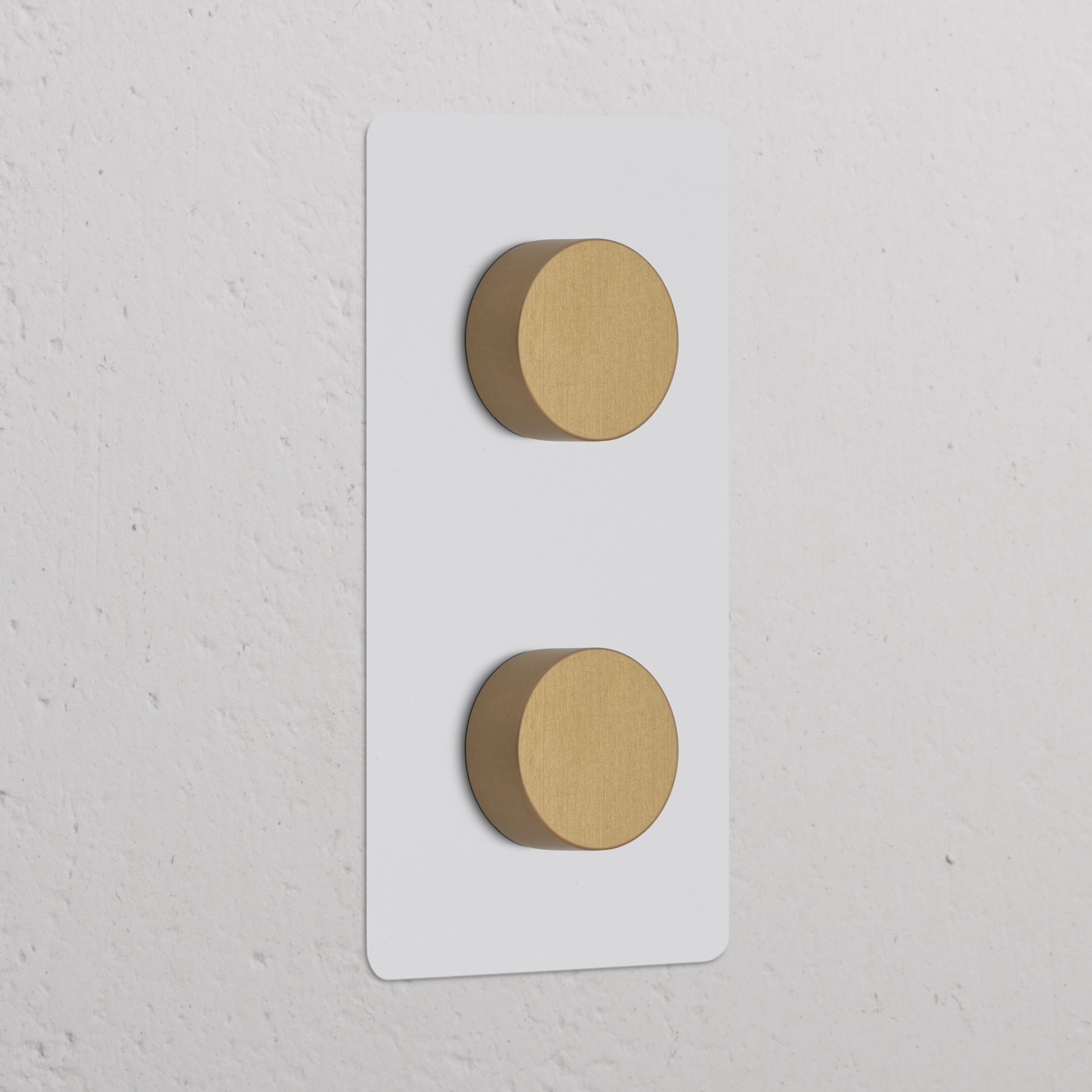 Double 2x vertical dimmer switch in paintable antique brass with two round knobs for light control.