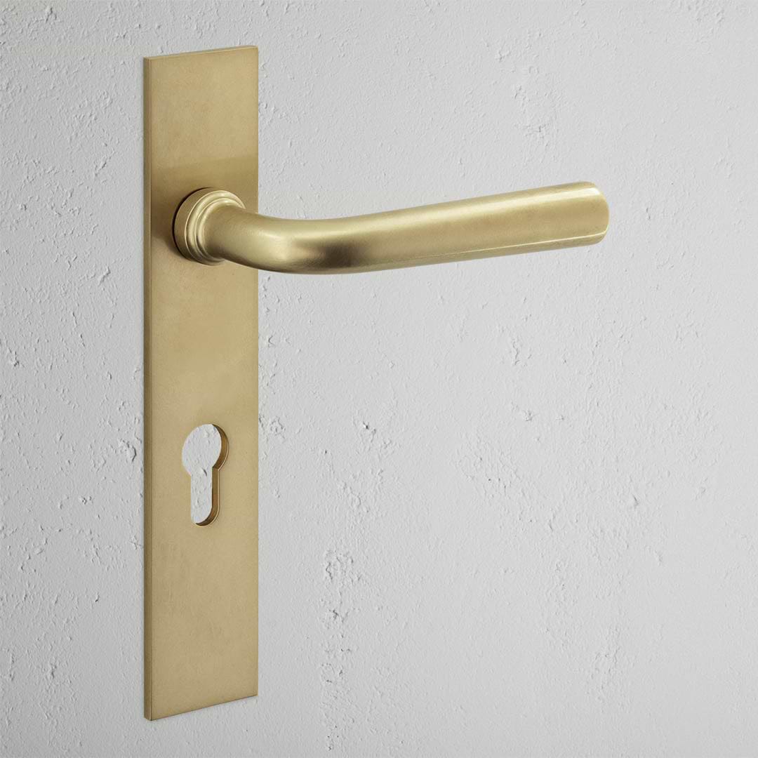 Apsley Long Plate Sprung Door Handle & Euro Lock Antique Brass Finish on White Background
