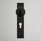 Poplar Long Plate Sprung Door Knob & Euro Lock Bronze Finish on White Background right Facing Front View
