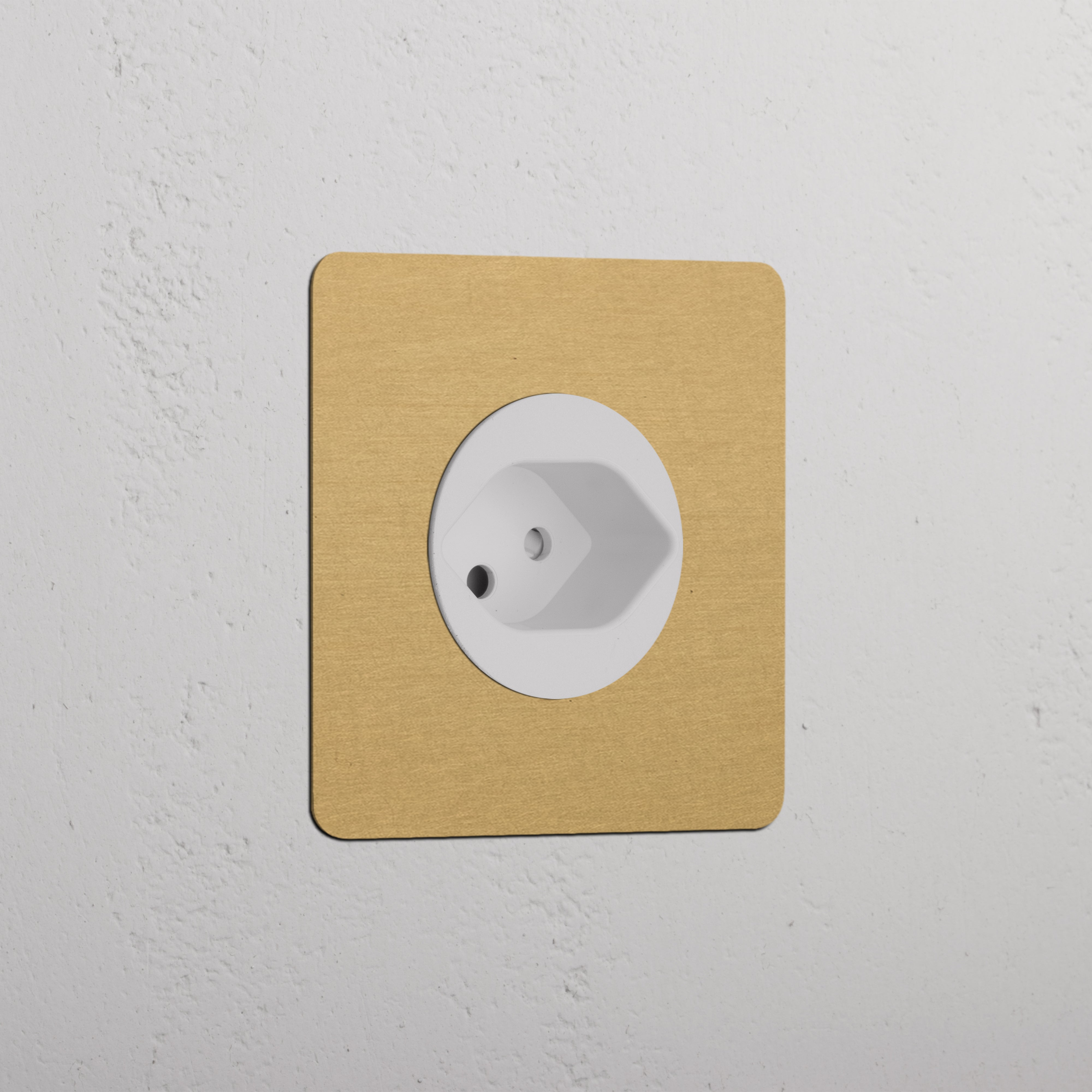 Single Swiss Module Round socket in antique brass and white on a textured white wall.