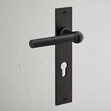 Harper Long Plate Sprung Door Handle & Euro Lock Bronze Finish on White Background at an Angle