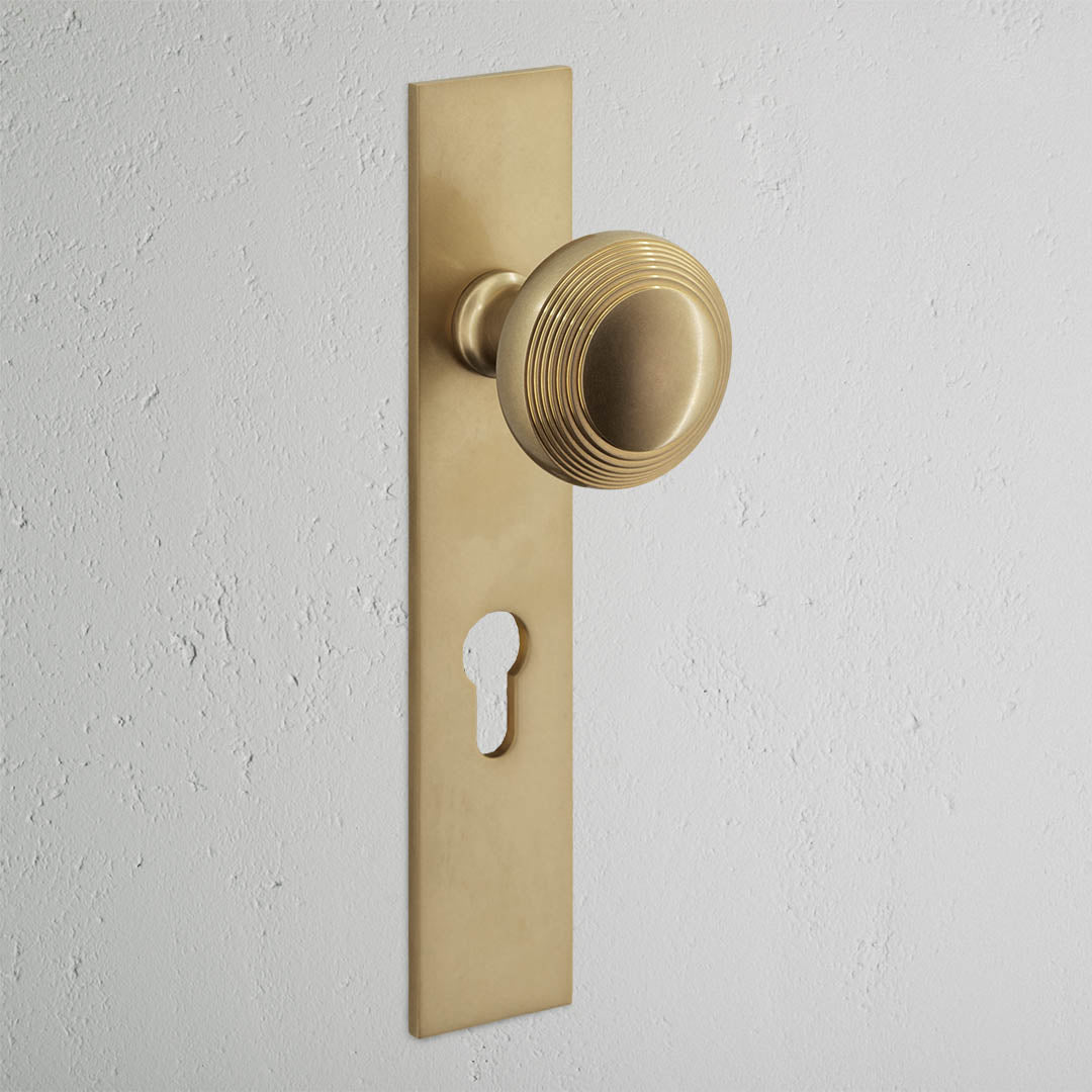 Poplar Long Plate Sprung Door Knob & Euro Lock - Antique Brass