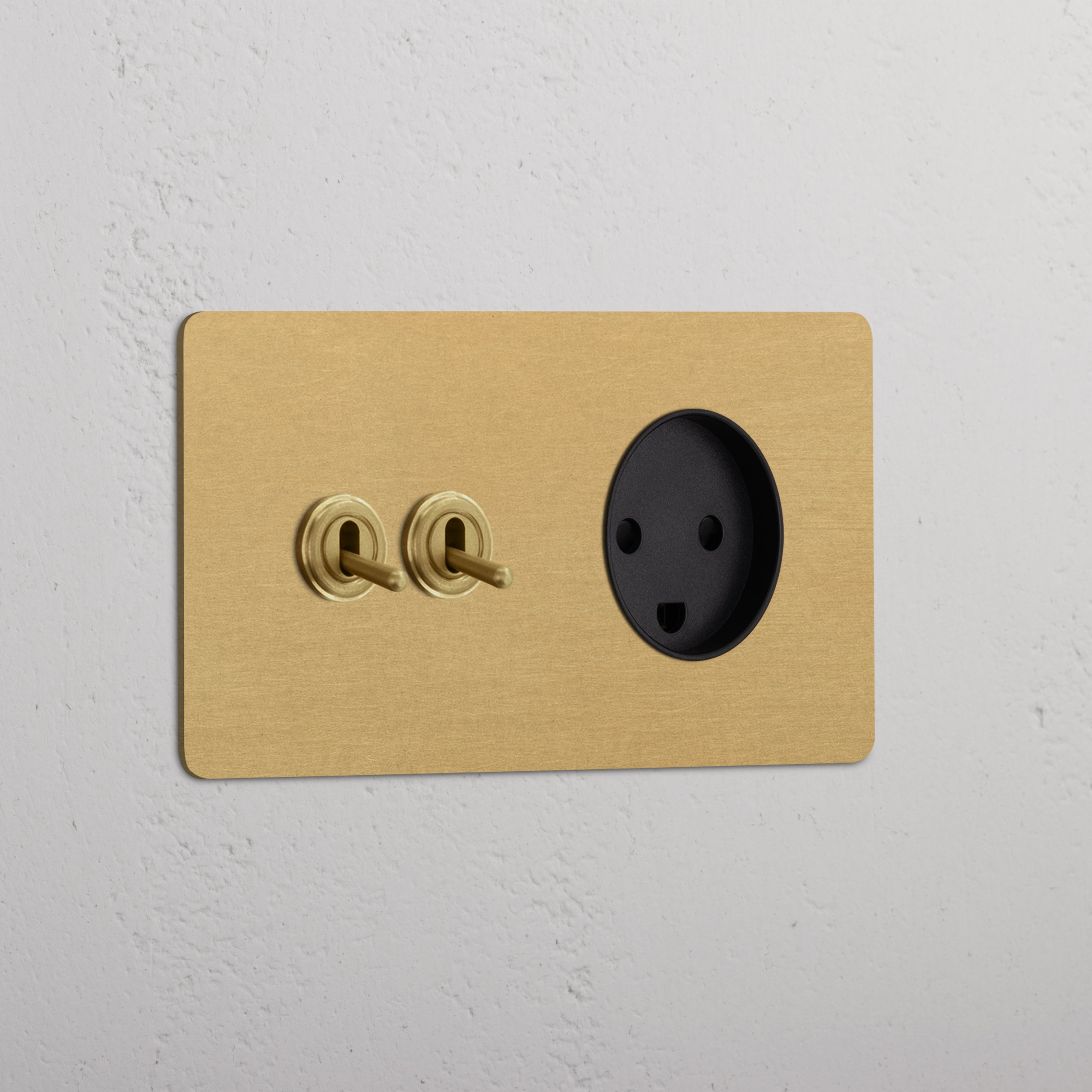 Double 2x Toggle & Danish Module Round - Antique Brass Black  