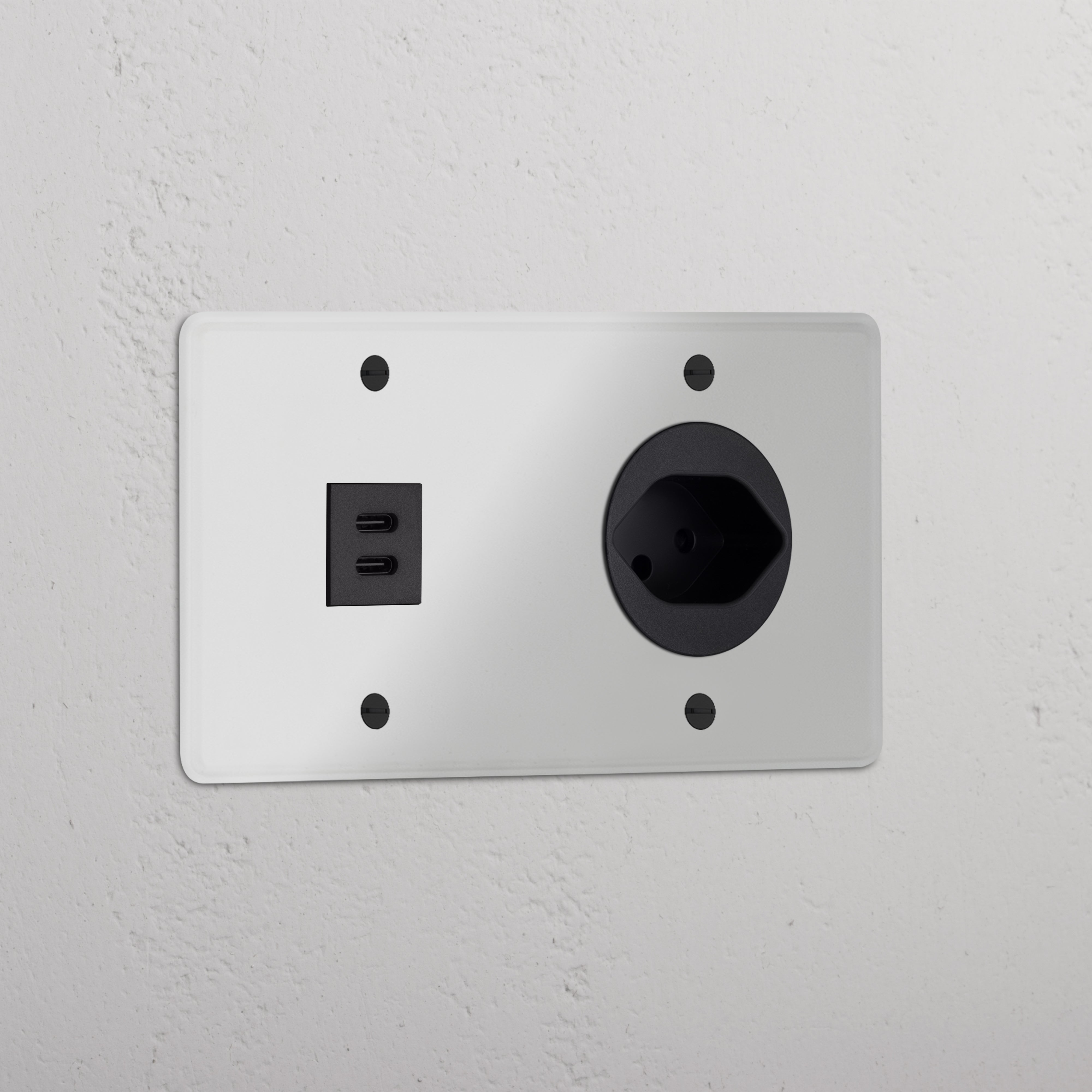 Double USB 30W & Swiss Module in Clear Black