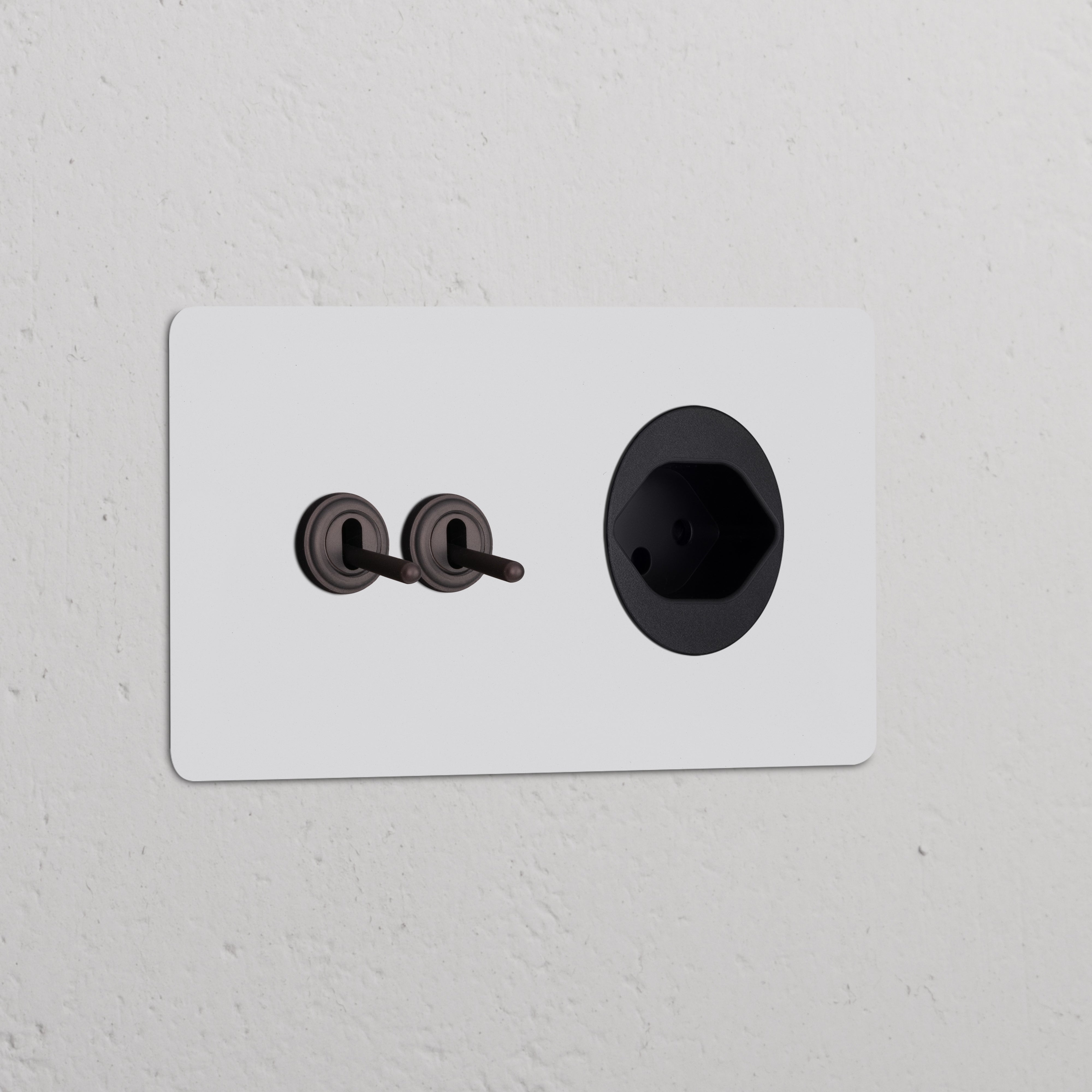 Double 2x Toggle Switch with Swiss Type J Power Module, round, paintable bronze black finish.