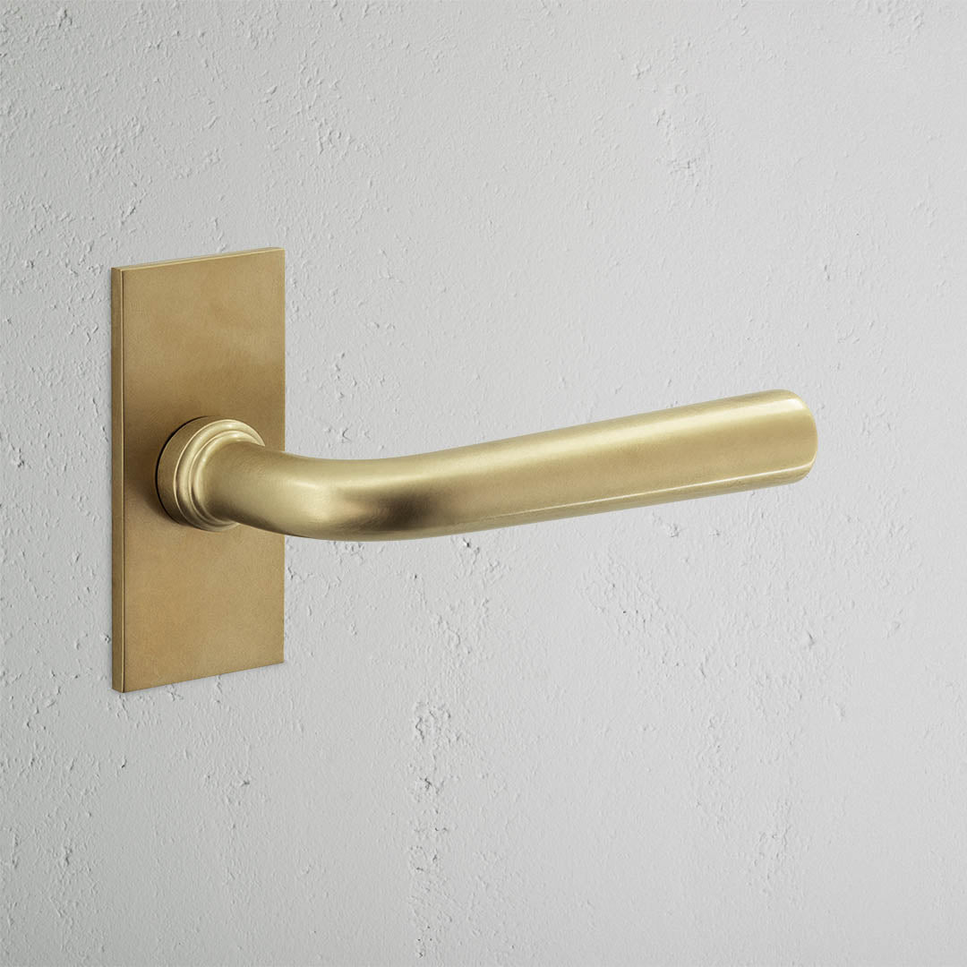 Apsley Short Plate Fixed Door Handle Antique Brass Finish on White Background