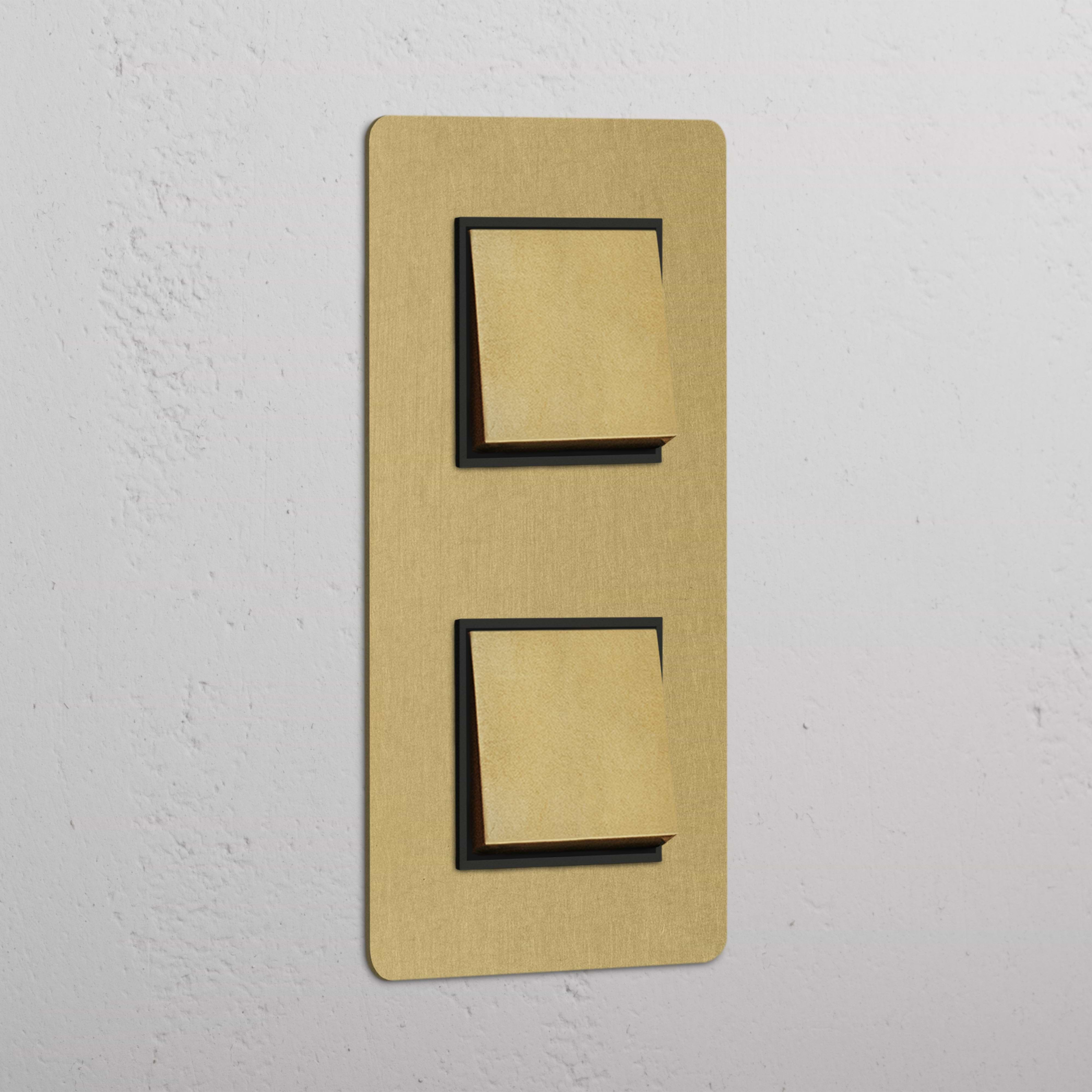 Double Rocker Switch in Antique Brass Black with Vertical Design