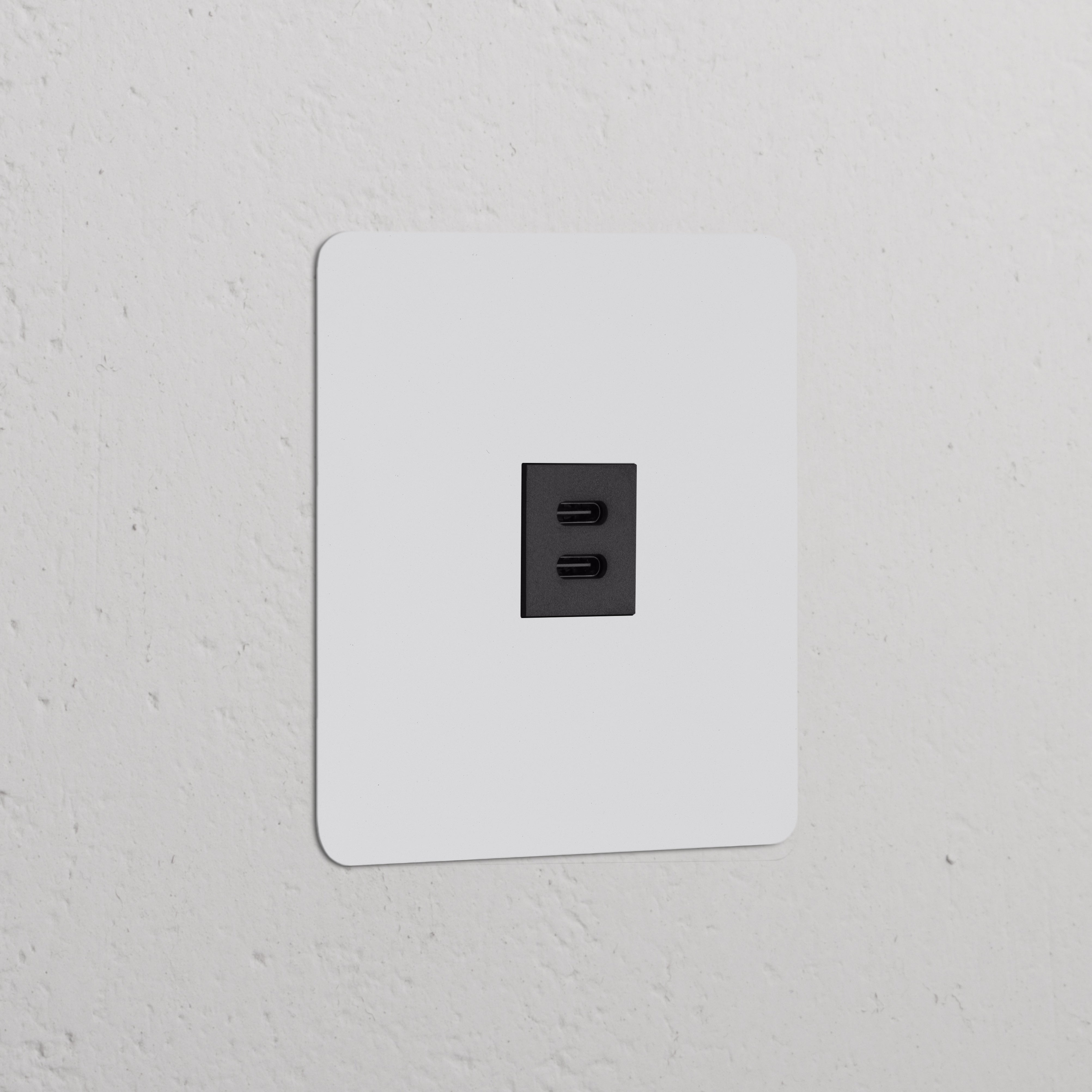 USB 30W module, single socket, paintable black finish, suitable for wall mounting; ideal for streamlined charging.