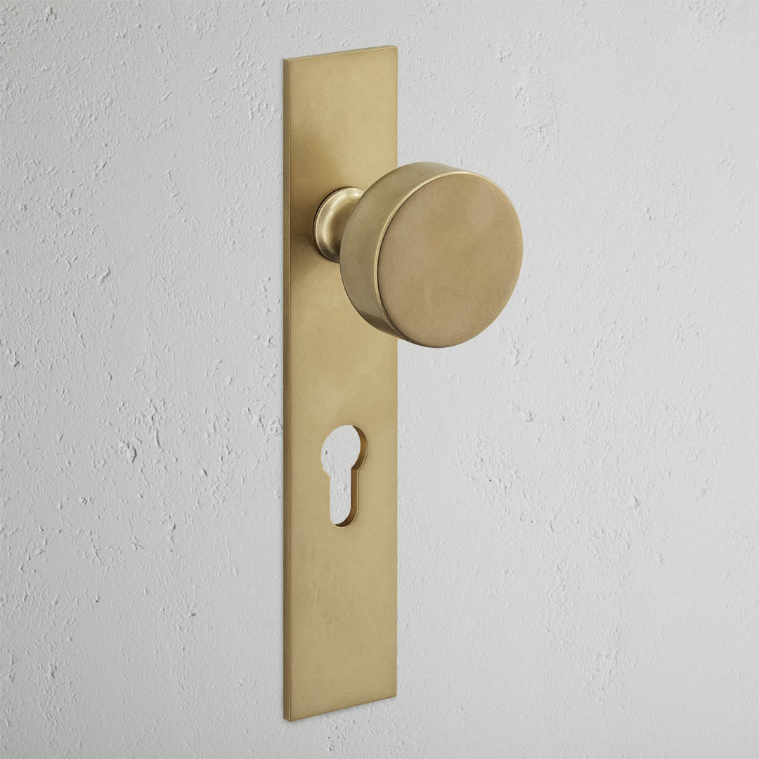 Onslow Long Plate Sprung Door Knob & Euro Lock - Antique Brass