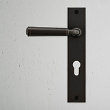 Digby Long Plate Sprung Door Handle & Euro Lock Bronze Finish on White Background right Facing Front View