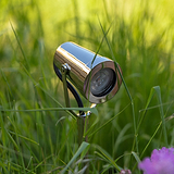 Cambridge Ground Spotlight 24V in polished nickel, installed outdoors among tall green grass.