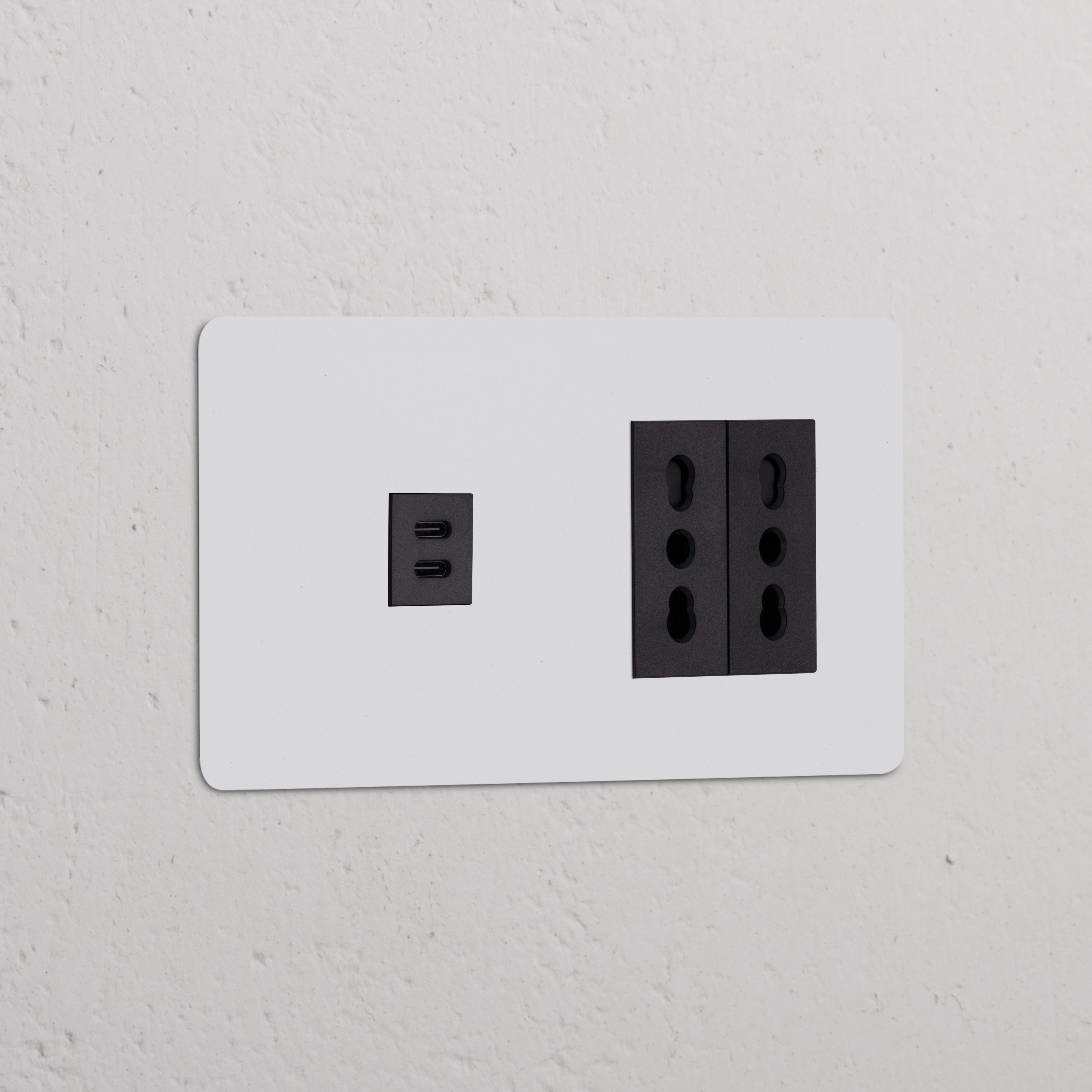 Black Double USB 30W & 2x Bipasso Module on white wall, paintable black finish for versatile power and USB connections.