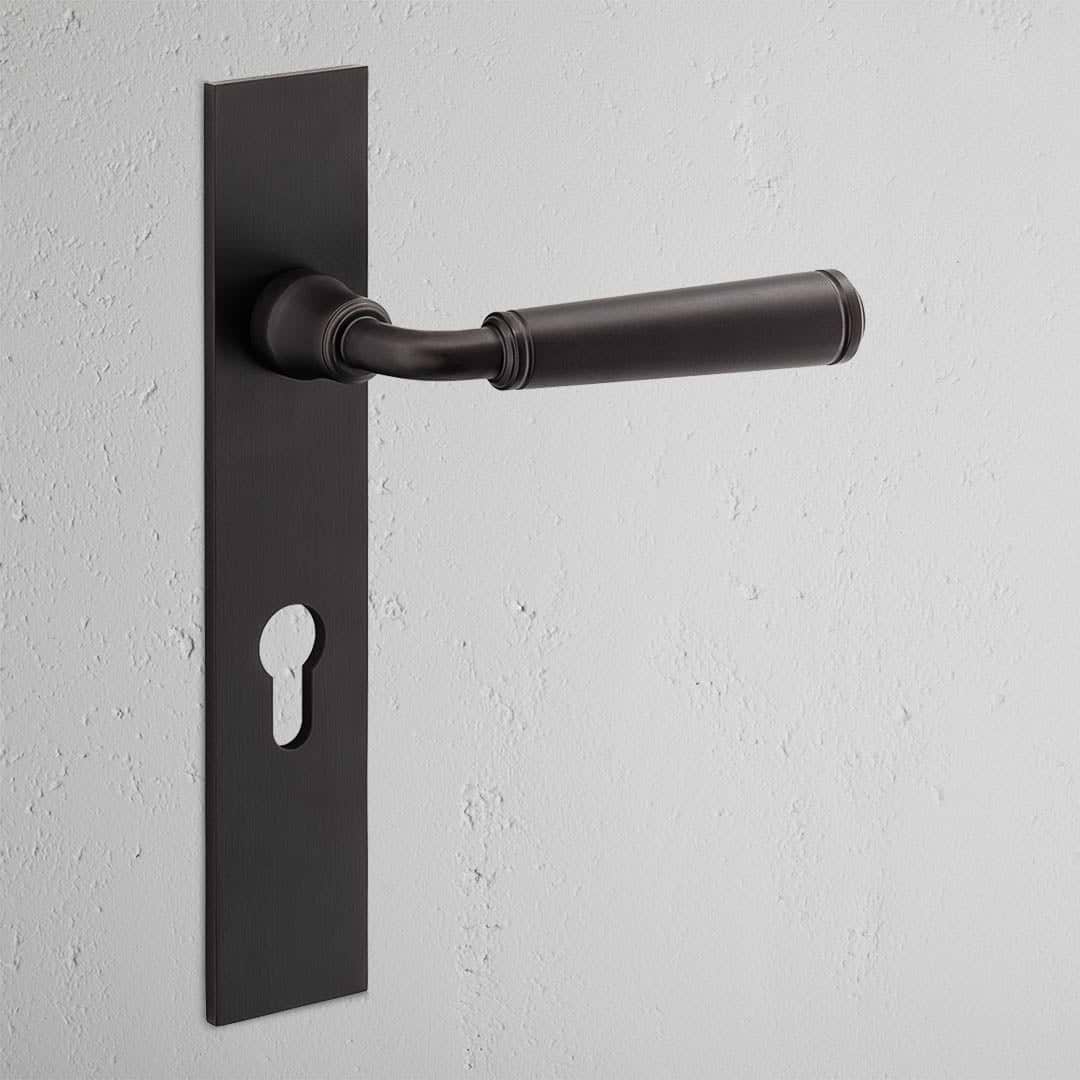 Digby Long Plate Sprung Door Handle & Euro Lock Bronze Finish on White Background