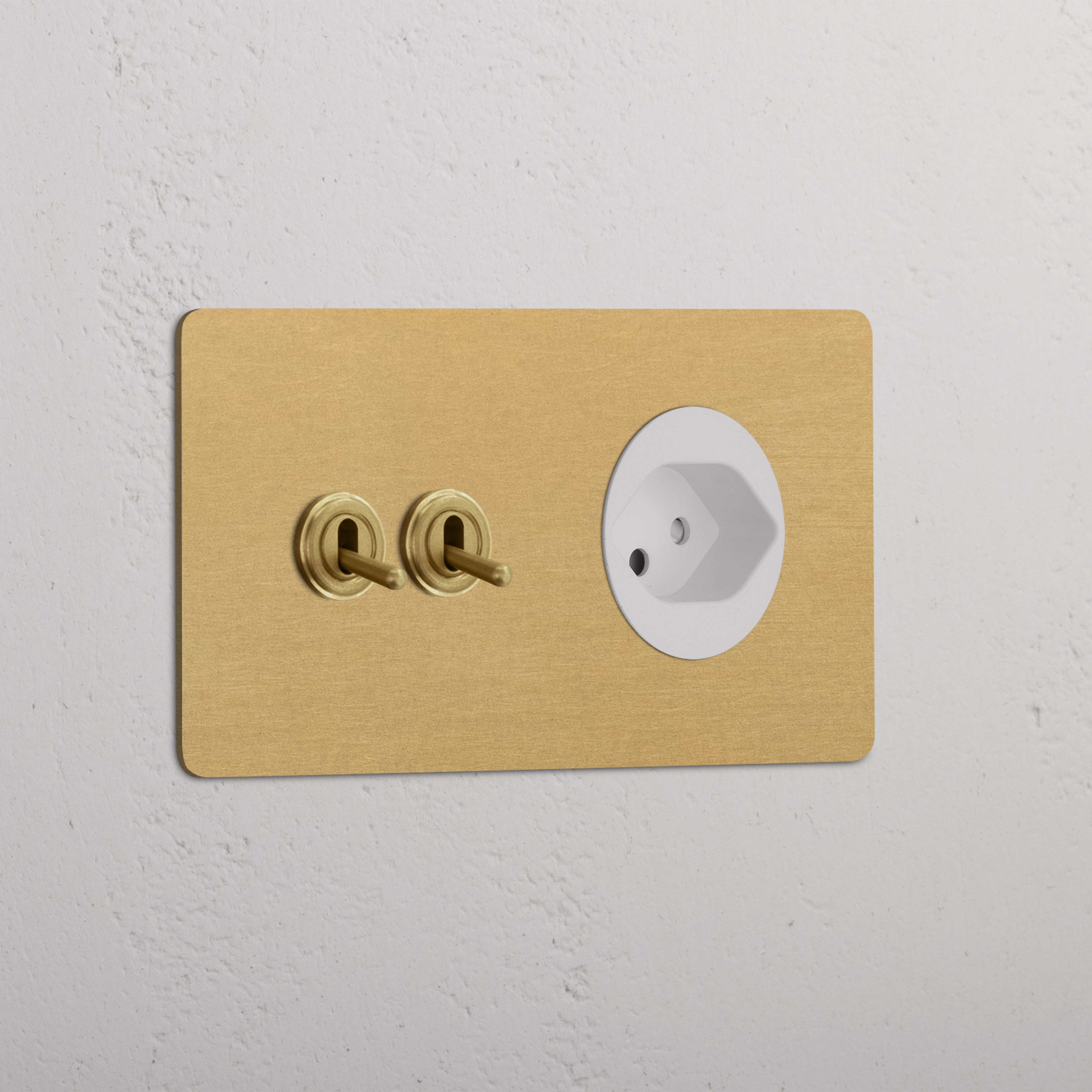 Double 2x Toggle & Swiss Module Round - Antique Brass White  