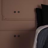 Paintable bronze double 2x dimmer switch on a decorative brown wall with ornate molding.