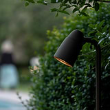 Ealing Path Spotlight - Bronze