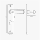 Digby Long Plate Sprung Door Handle & Euro Lock – Antique Brass