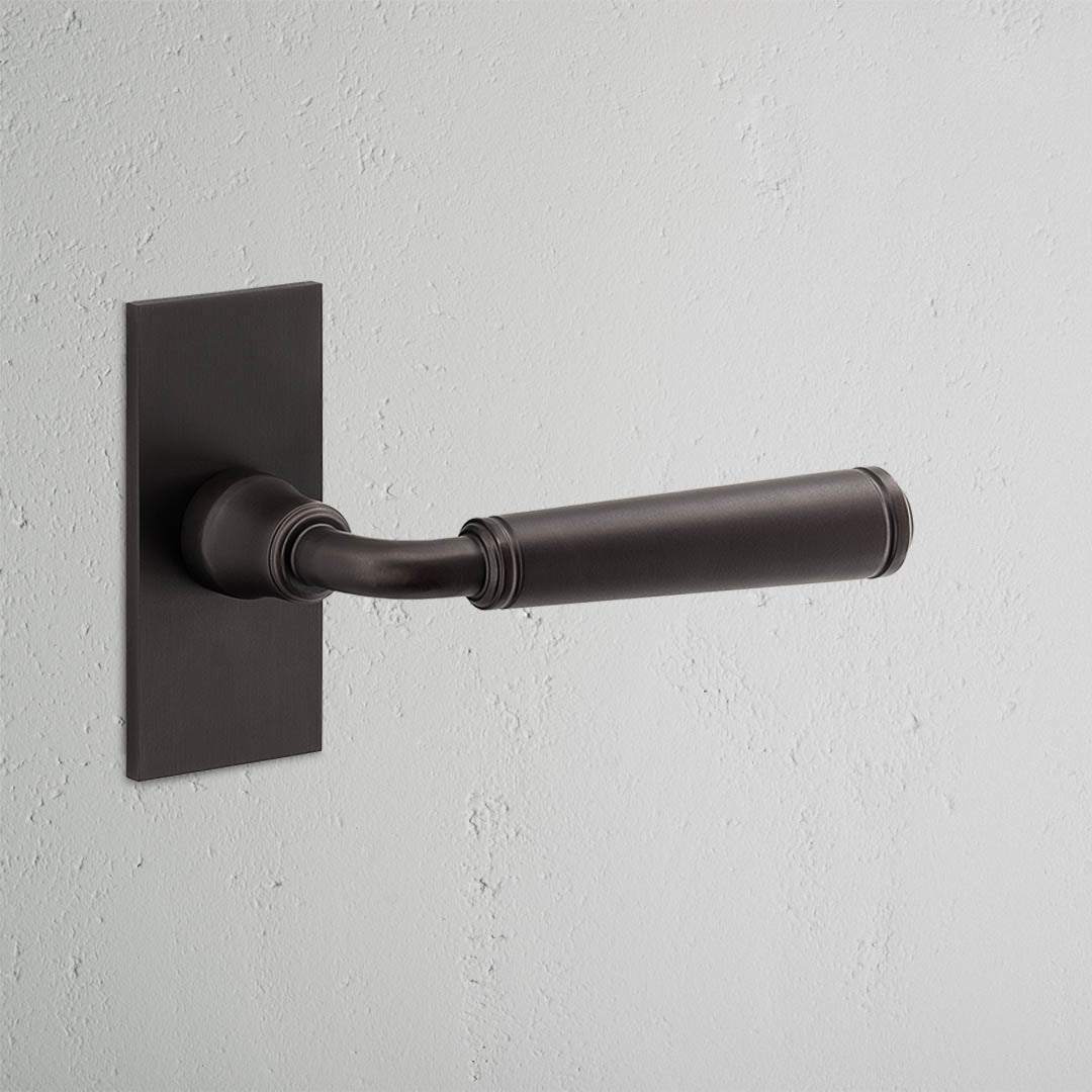 Digby Short Plate Sprung Door Handle Bronze Finish on White Background