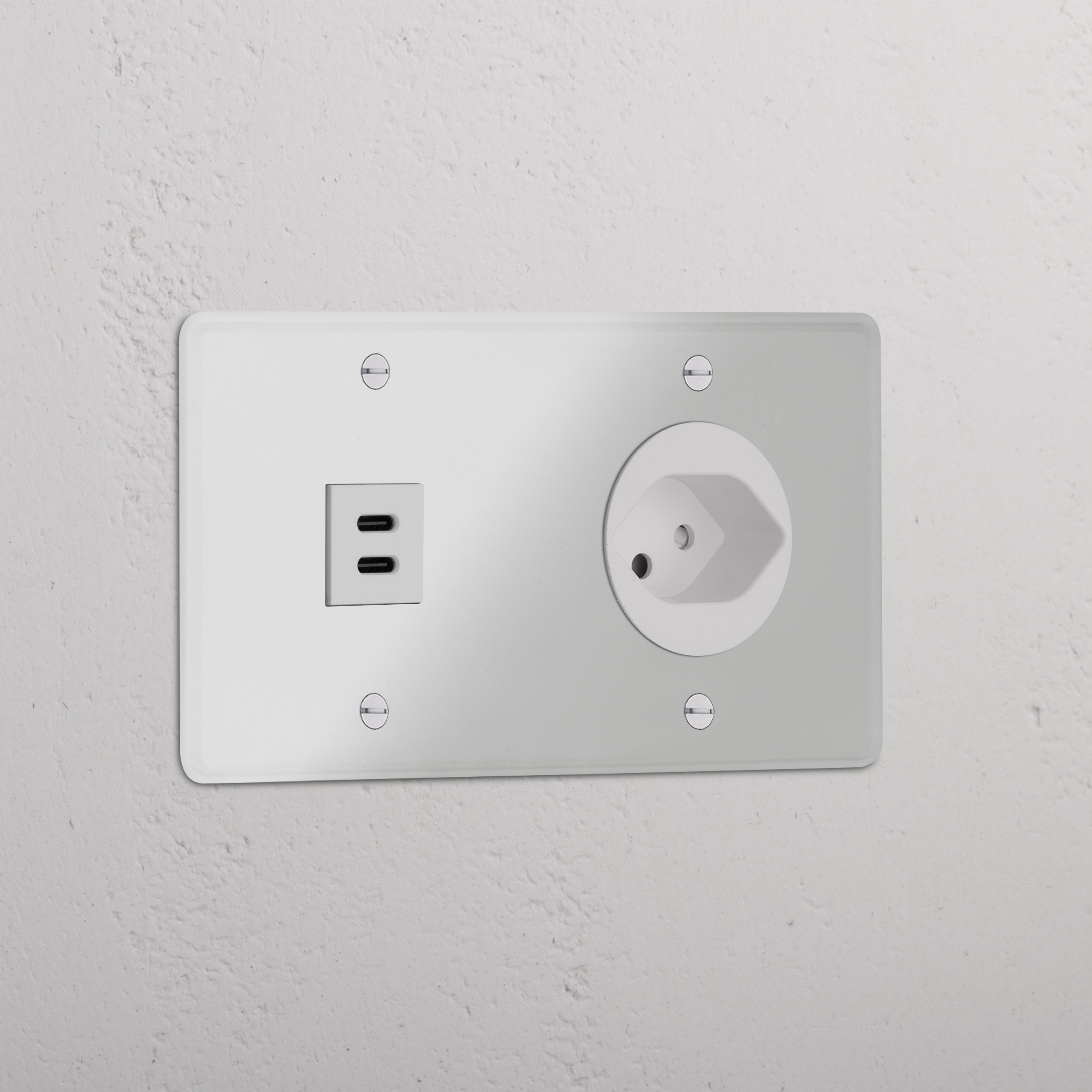 Double USB 30W & Swiss Module in Clear White