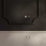 Paintable white Double 2x Schuko Type F socket module on wall with decorative molding.