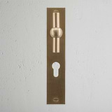 Harper T-Bar Long Plate Sprung Door Handle & Euro Lock Antique Brass Finish on White Background right Facing Front View