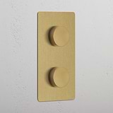 Antique Brass Double Dimmer Switch in Vertical Design