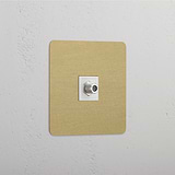 Single Satellite Module in Antique Brass White - Excellent Reception