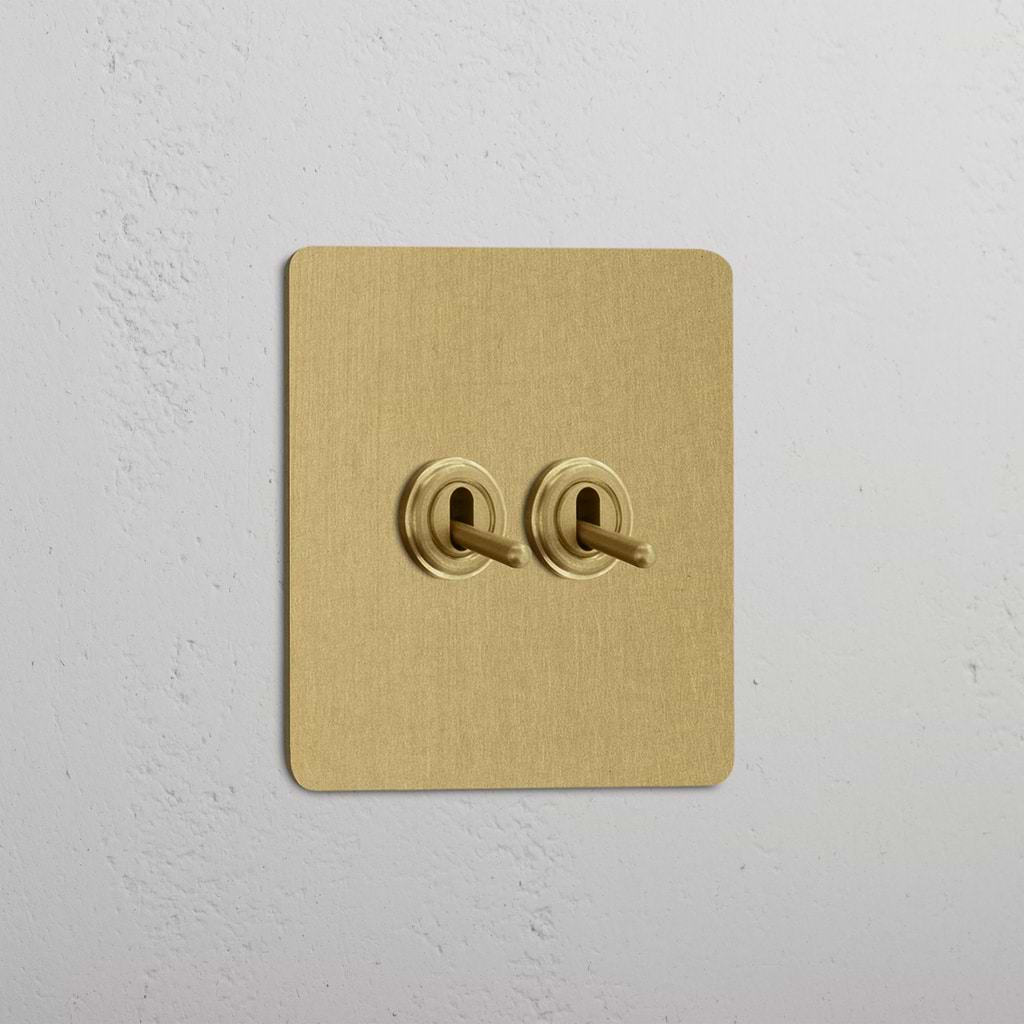 Elegant Antique Brass Single Toggle Switch with Two Levers