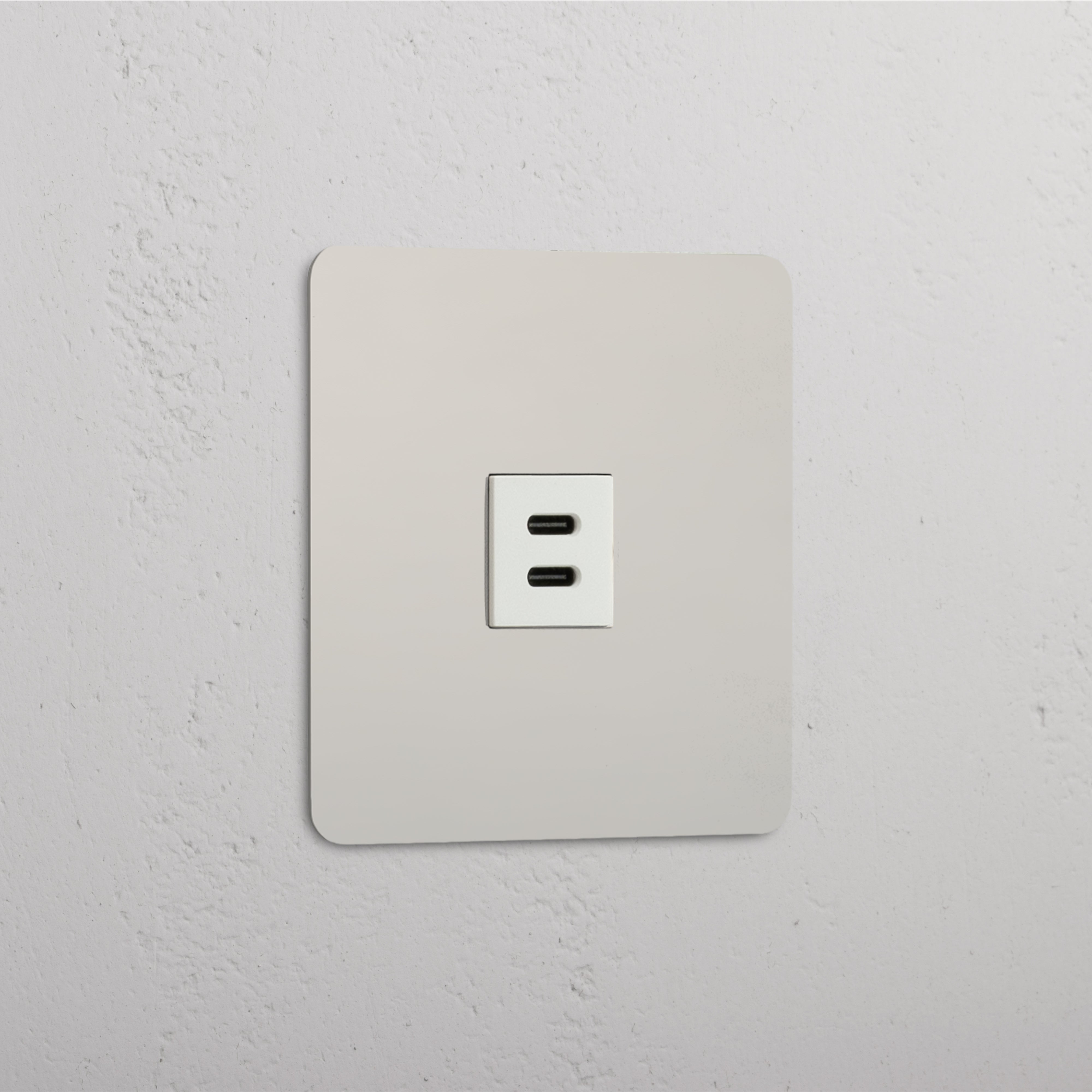 High-Speed Charging Outlet: Single USB 30W Module in Polished Nickel White