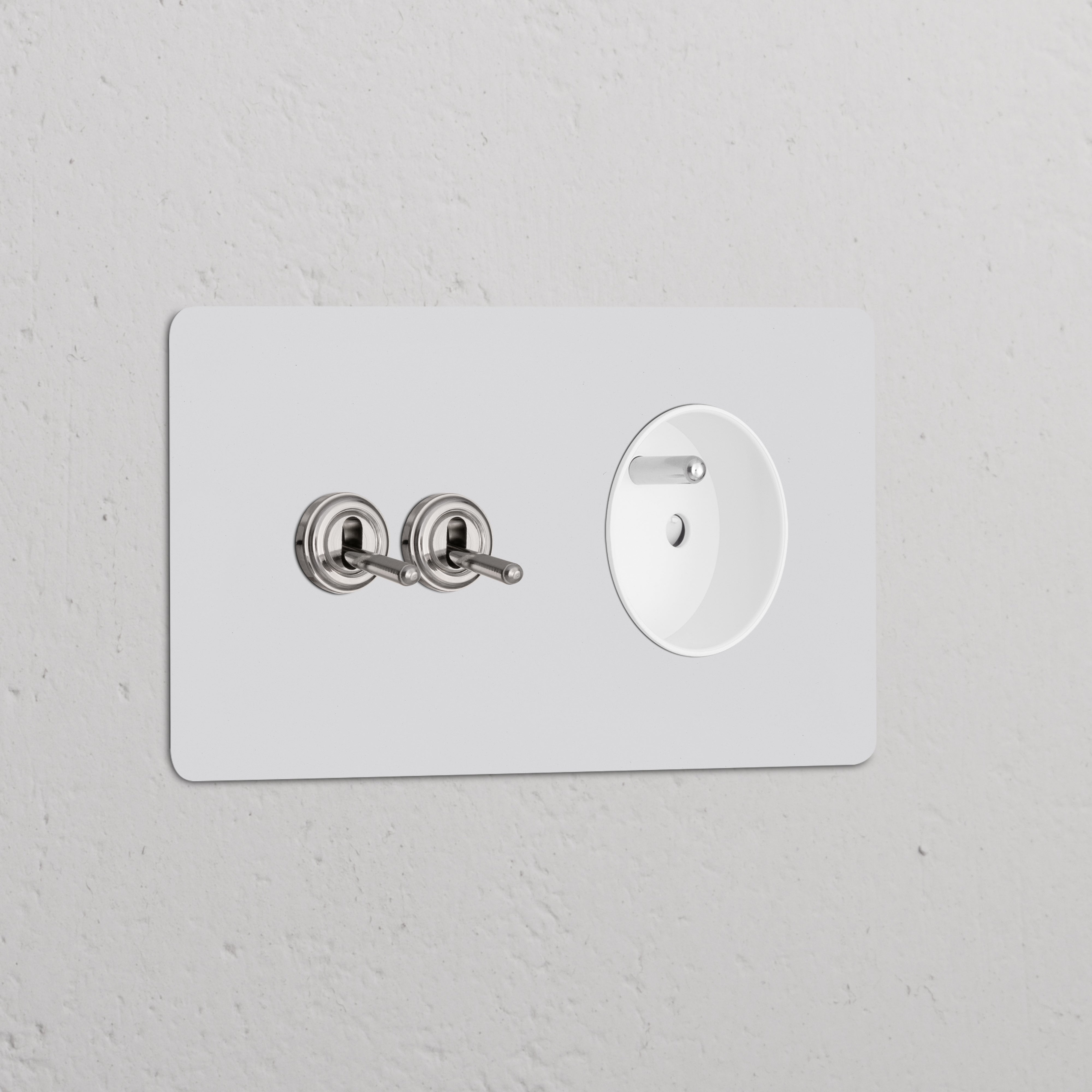 Wall panel with double 2x toggle switch and French/Belgian Type E power module; paintable polished nickel finish.