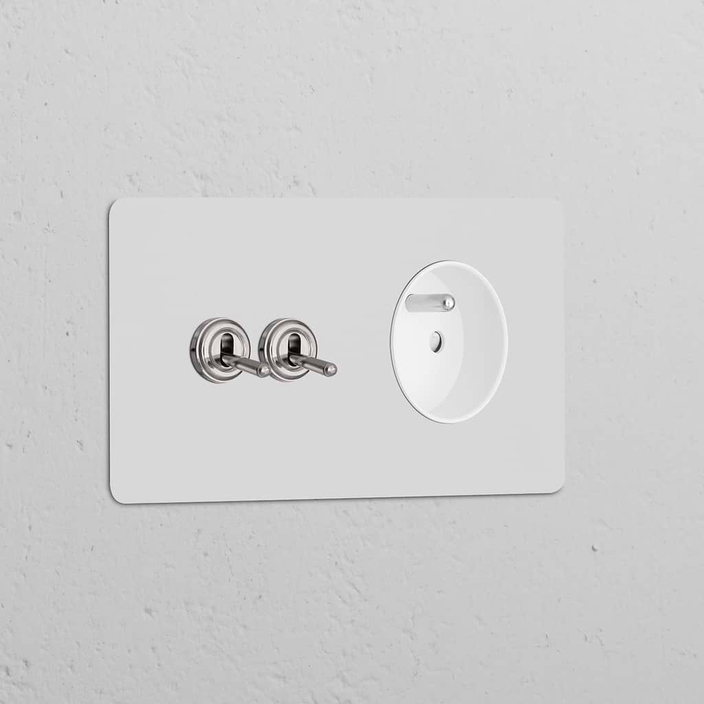Wall panel with double 2x toggle switch and French/Belgian Type E power module; paintable polished nickel finish.