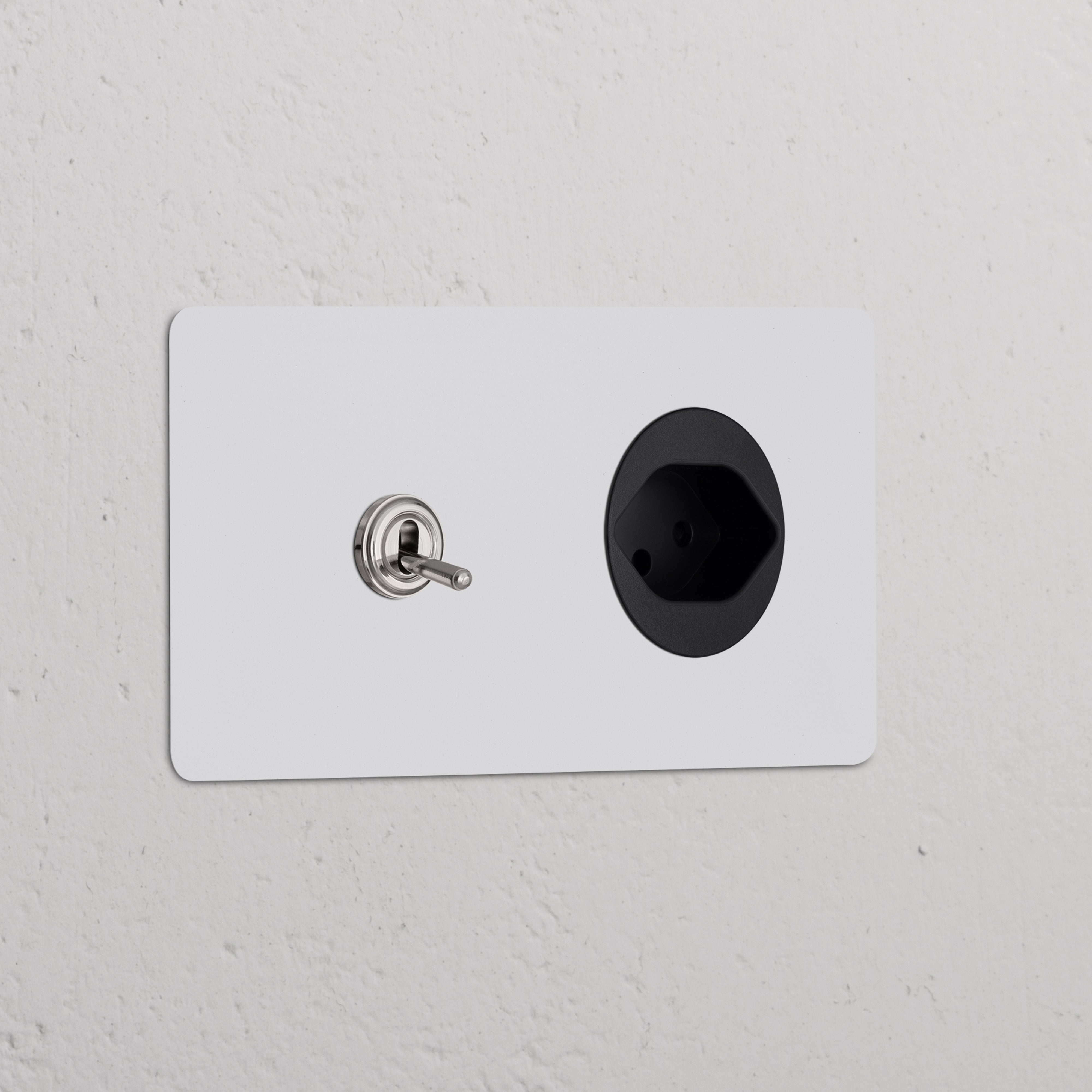 Double toggle switch and Swiss Type J power module in polished nickel black on a white surface.